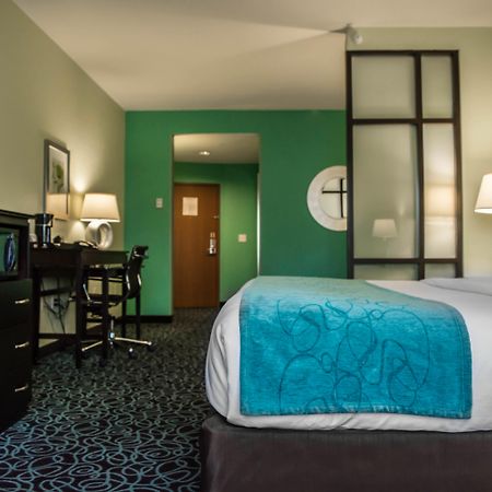 Mango Hampton Inn By Hilton Tampa Fairgrounds Casino מראה חיצוני תמונה