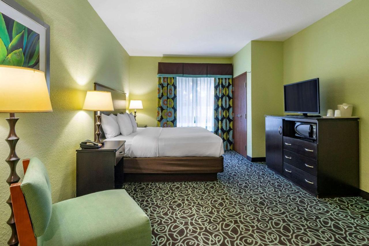 Mango Hampton Inn By Hilton Tampa Fairgrounds Casino מראה חיצוני תמונה