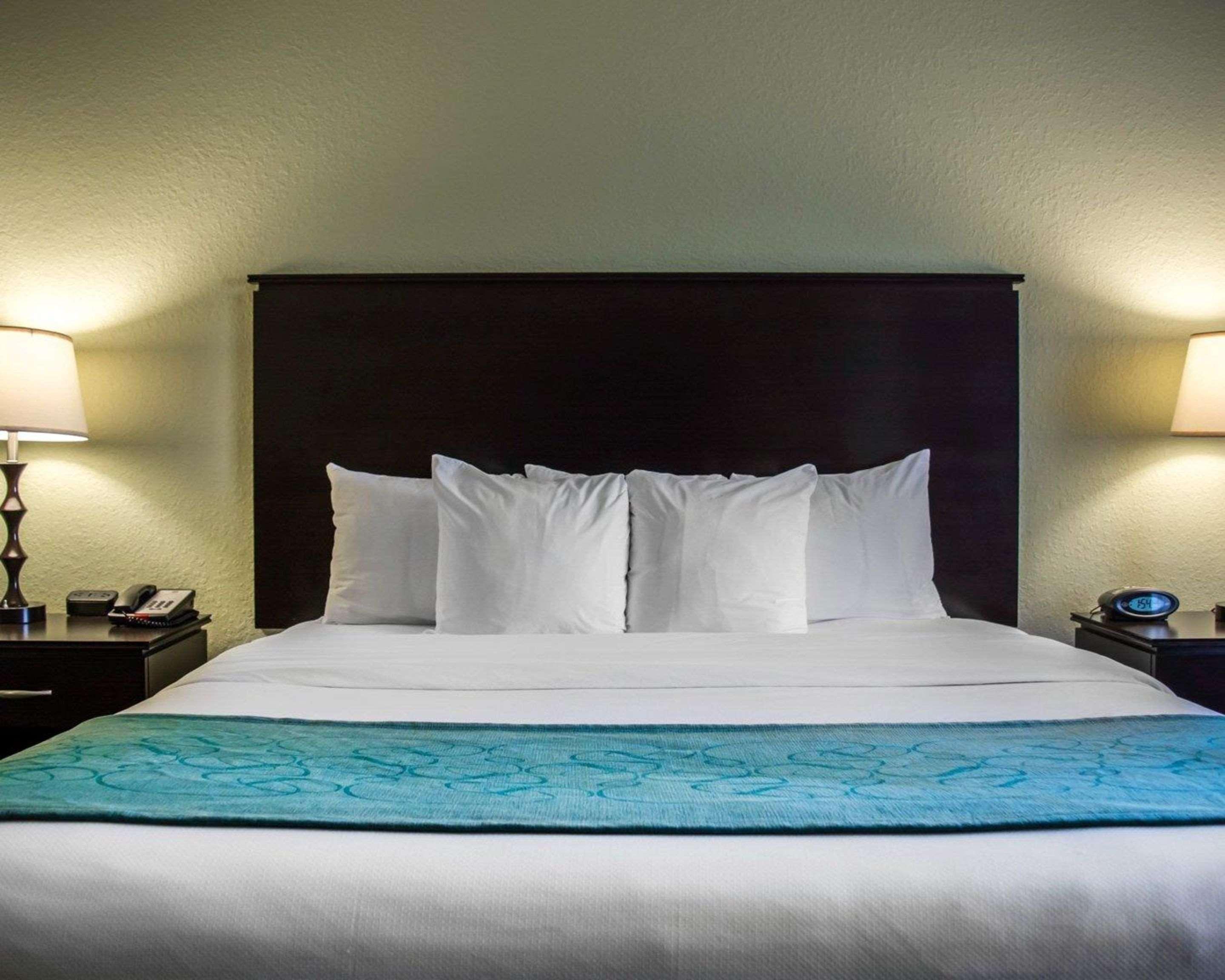 Mango Hampton Inn By Hilton Tampa Fairgrounds Casino מראה חיצוני תמונה