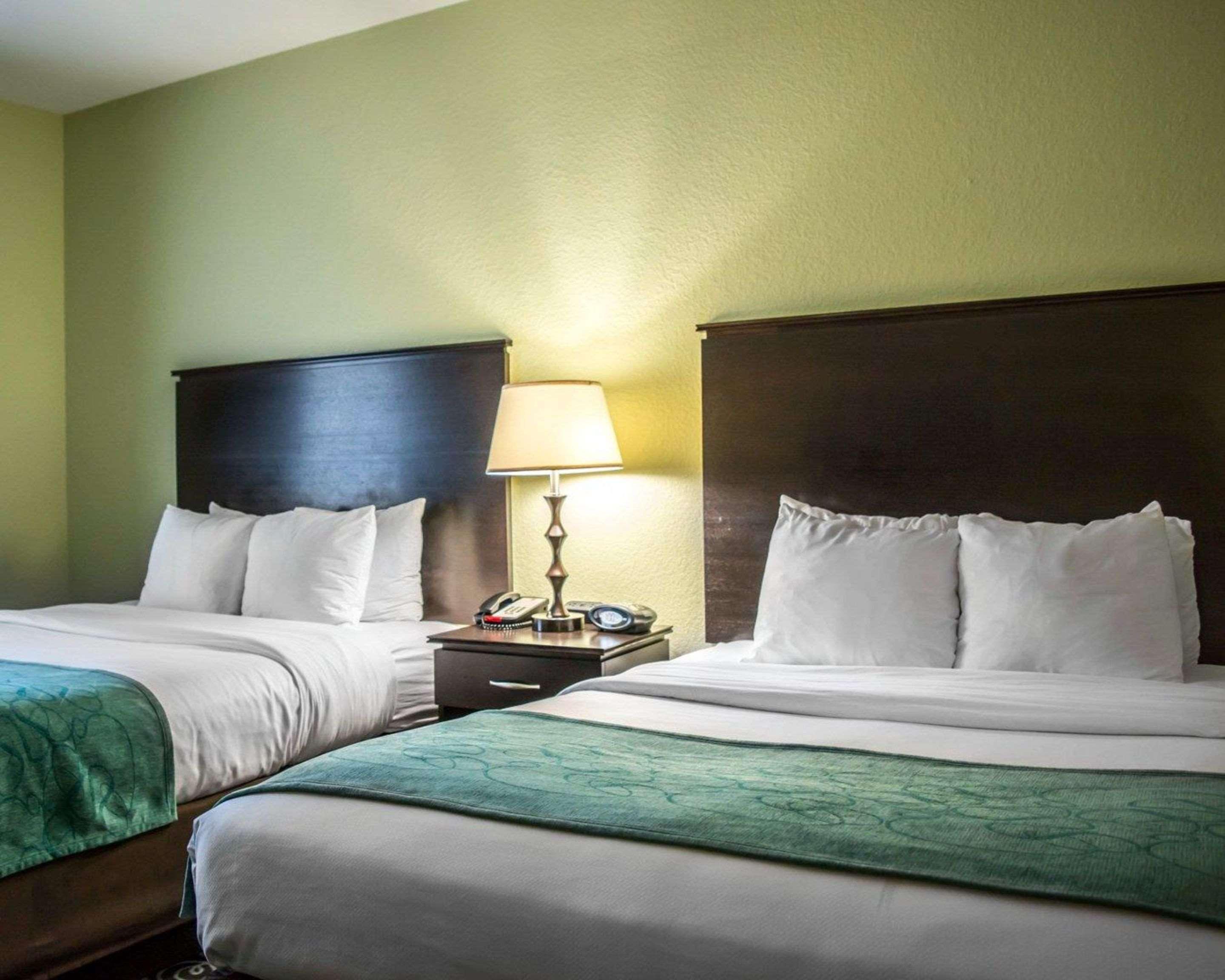 Mango Hampton Inn By Hilton Tampa Fairgrounds Casino מראה חיצוני תמונה